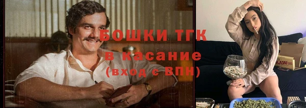 твердый Нея